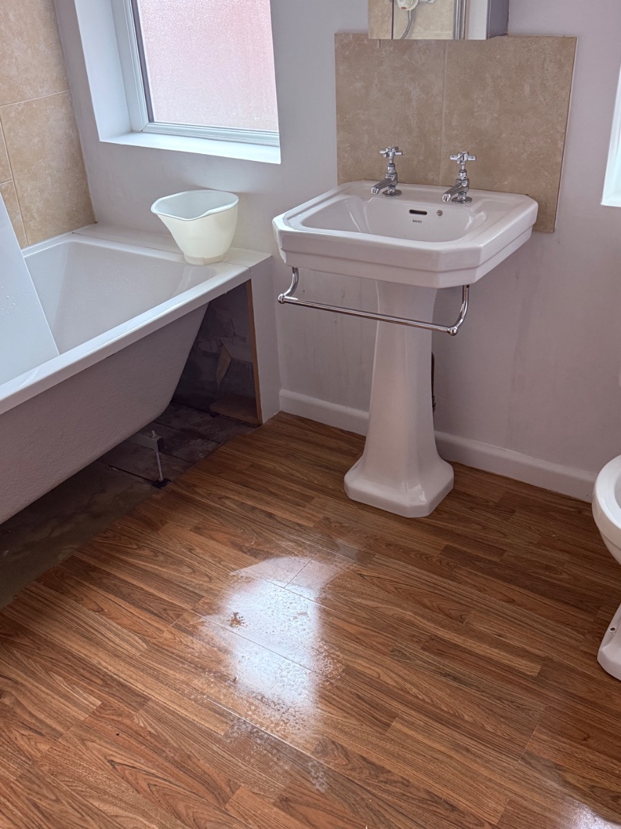 Cleaner: Image 1
